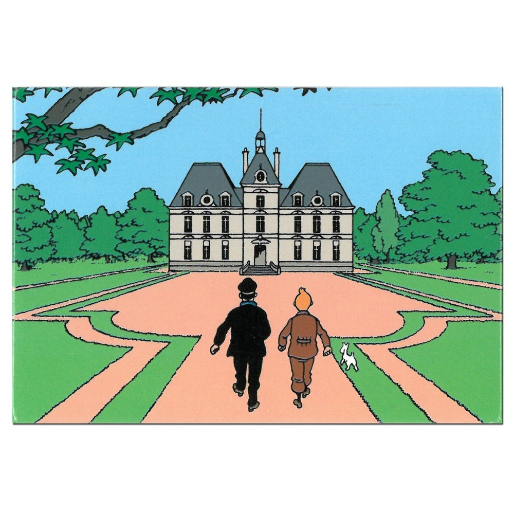 Fashion & Homeware - Tintin - Magnet - Marlinspike Hall