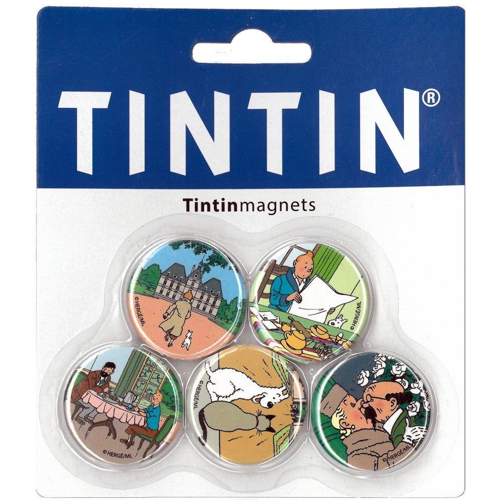 Fashion & Homeware - Tintin - Magnets - A set of 5 round magnets